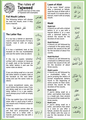 A5 Gloss Laminated Card Tajweed Rules Quran Islamic Learning recitation rules