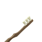 Toothwak Classic Model